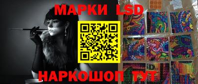 mdpv Краснознаменск