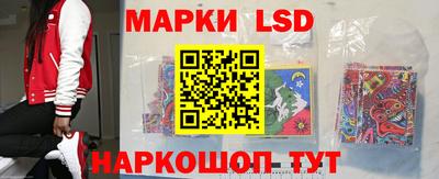 mdpv Краснознаменск
